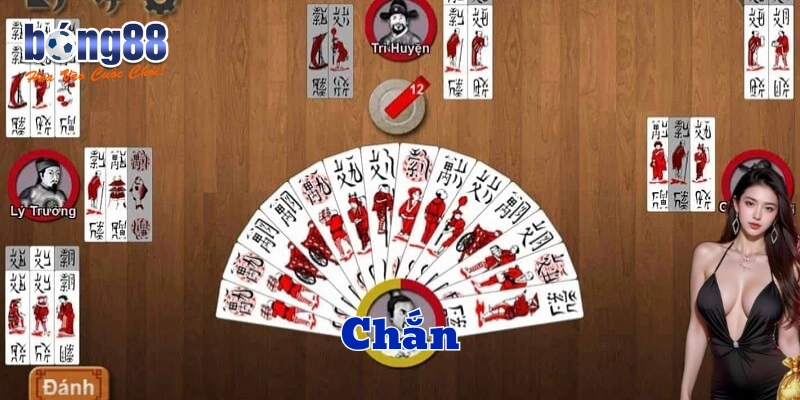 Chắn là gì?